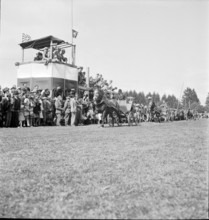37th Marché-Concours Saignelégier, one-horse carriage, 1940.