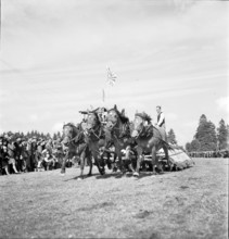 37th Marché-Concours Saignelégier, four-in-hand, 1940.