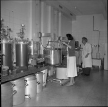 Swiss serum and vaccination Institute, laboratory 1956.