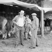 55th Marché-Concours Saignelégier, 1958.