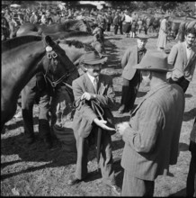 Horse market of Chaindon-Reconvilier, horse dealer, 1954.