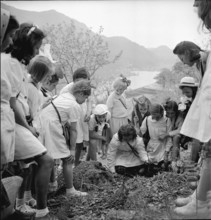 Spring festival in Vico Morcote, 1942.