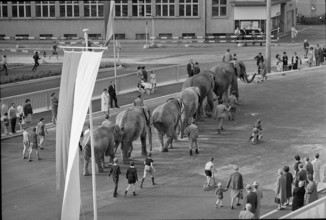 Basle, procession, inauguration of Luzernerring bridge; 1965.