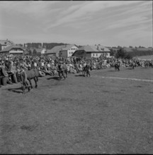 48th Marché-Concours Saignelégier, Presentation, 1951.