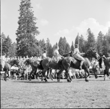 59th Marché-Concours Saignelégier, children parade, 1962.