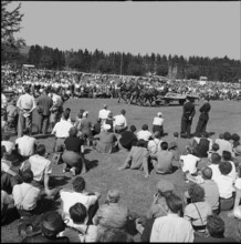 50th Marché-Concours Saignelégier, four-in-hand, 1953.