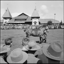 53rd Marché-Concours Saignelégier, parade, 1956.