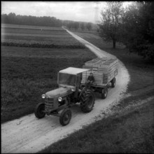 Transport to Veiling, fruit auction in Burgdorf 1960.