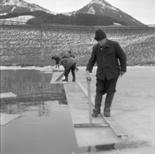 Workers Providing Ice for the Schützengarten Brewery, 1957.