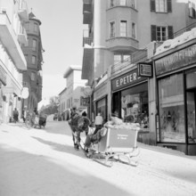 St. Moritz, tourists in horse-drawn sleigh , 1951.
