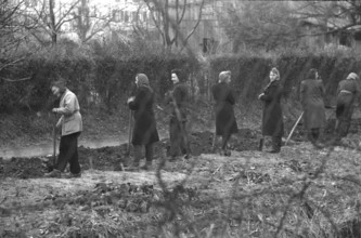WW 2: 'Volkssturm' shovelling trenches, Konstanz 1944.