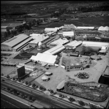 HOSPES 1954.