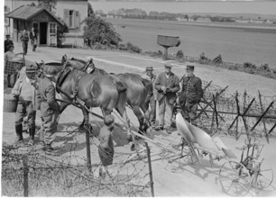 WW 2: Swiss farmer at the french border, Basle 1945.