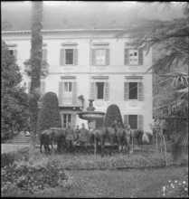 WW 2: border; italian soldiers with horses, Chiasso around 1943.