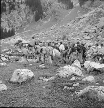 WW 2: farming camp; apprentices clearing a mountain pasture, 1942.