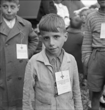 Boy; identification badge; 1944.