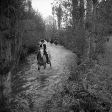 Fox hunting; foxhunting in Lenzburg, 1958.