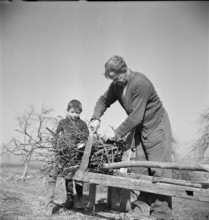 Kallern: man bundling up firewood; 1946.