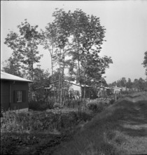 Laupen: Residential buildings for working-class familiies; 1939.