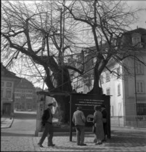 Swiss donation collecting point, 1945.