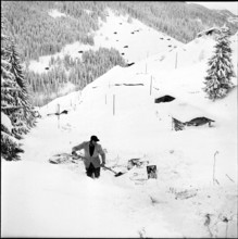 Avalanche in the Montafon valley, clearing work; 1954.