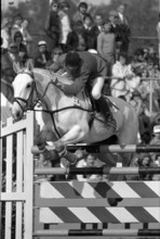 CSIO St. Gallen 1978: Jürgen Ernst and Lustig.
