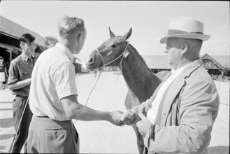 66th Marché-Concours Saignelégier, 1969.