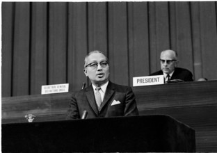 Sithu U Thant: WHO Plenary Session in Geneva 1966.