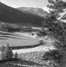 Punt dal Gall 1958.