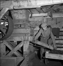 Production of briquettes; 1943.