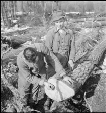 Land reclamation, extend area of cultivable land; ; clearing; 1942.