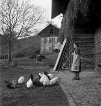Poultry farm in Romanshorn, 1941.