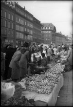 Onion market in Berne, 1945.