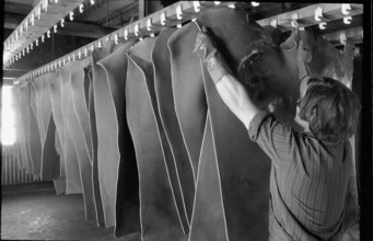 Last Tannery in Romandie, 1973.
