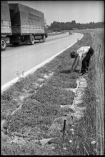 Test gardening along the motorway, 1972.