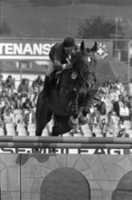 CSIO St. Gallen 1978: Ulrich Meyer zu Bexten and Ralf.
