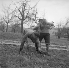 Birmensdorf, search for oil; 1958.