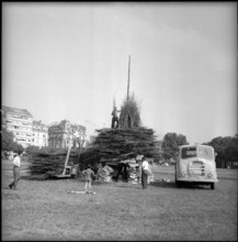 Geneva, people piling up firewood; 1959.