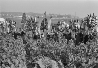 Winegrower's festival in Mont-sur-Rolle, 1971.