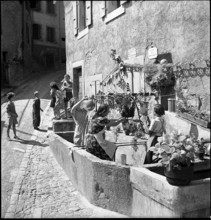 The population of a winegrower village prepares the national holiday celebration.