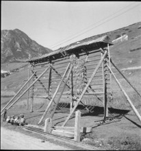 WWII: Children, grain harvest in Tschamut, 1941