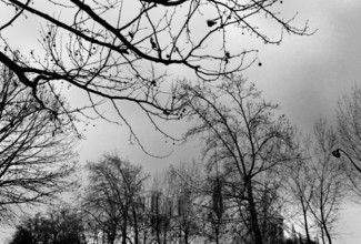 1975, Paris, Notre Dame Cathedral.