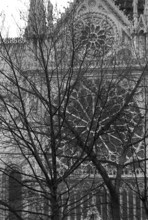1975, Paris, Notre Dame Cathedral.