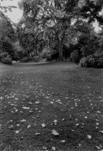 1975, Paris, Tuileries Gardens.