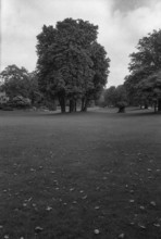 1975, Paris, Tuileries Gardens.