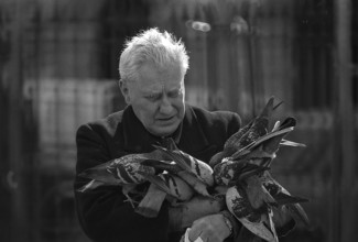 1975, Paris, Marais,  old man with pigeons.