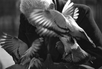 1975, Paris, Marais,  old man with pigeons.