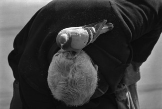 1975, Paris, Marais,  old man with pigeons.