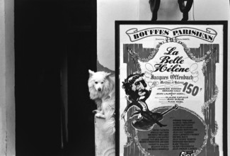 1975, Paris, Rive droite. La Belle Halene.