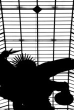 1990, Paris, Rive gauche, Gare d'Orsay - Musee d'Orsay.